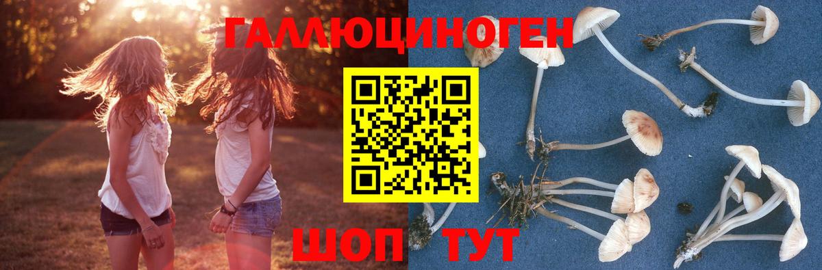 Ивантеевка  Псилоцибиновые грибы мухоморы  Вход с VPN 